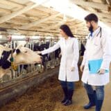 apparecchiature mediche ad uso veterinario petrone group