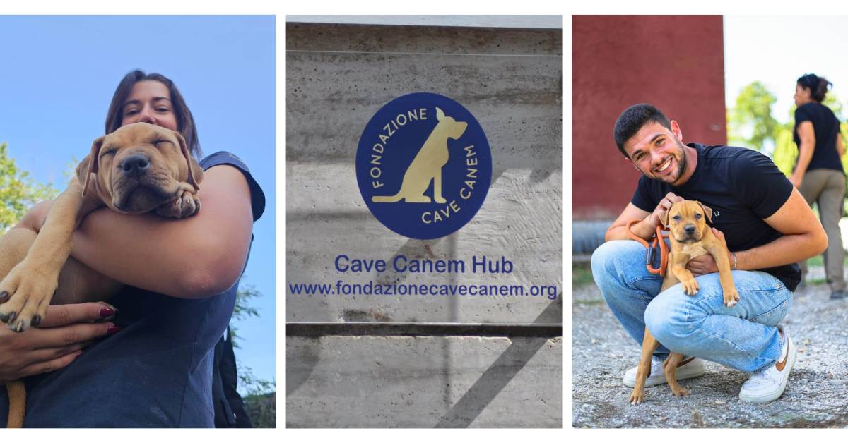 Cave Canem Hub - sostegno di Petrone Group