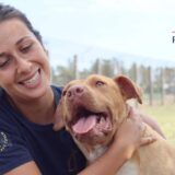 Progetto Cave Canem Hub - Petrone Group